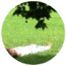 Benutzeravatar